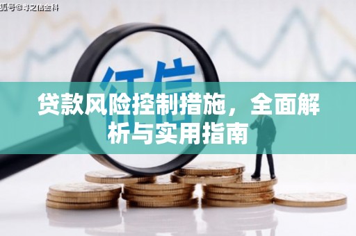 贡山贷款风险控制措施，全面解析与实用指南