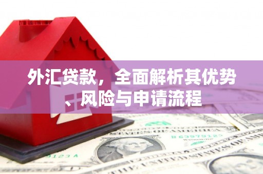 贡山外汇贷款，全面解析其优势、风险与申请流程