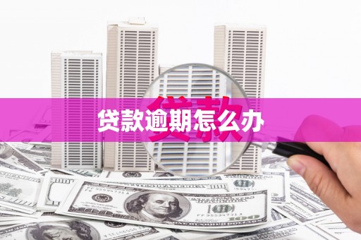 贡山贷款逾期怎么办