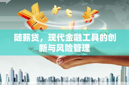 贡山随薪贷，现代金融工具的创新与风险管理