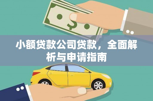 贡山小额贷款公司贷款，全面解析与申请指南