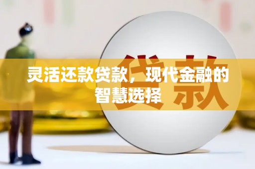 贡山灵活还款贷款，现代金融的智慧选择