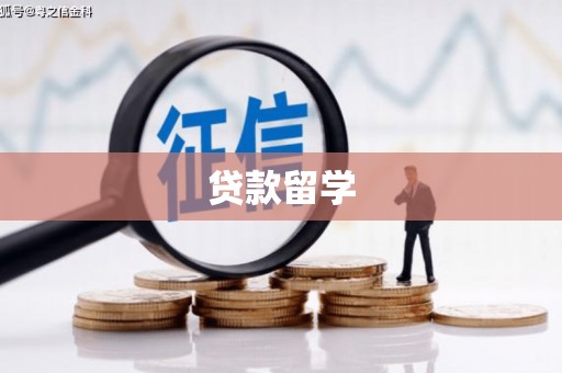 贡山贷款留学