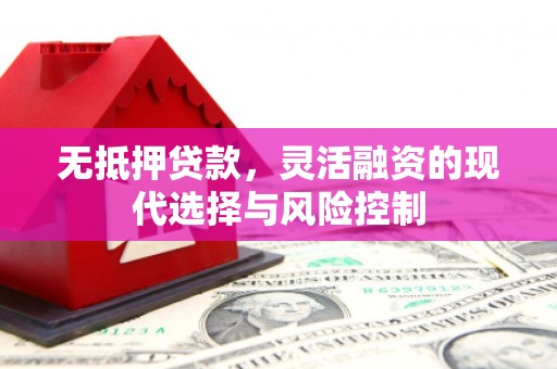 贡山无抵押贷款，灵活融资的现代选择与风险控制