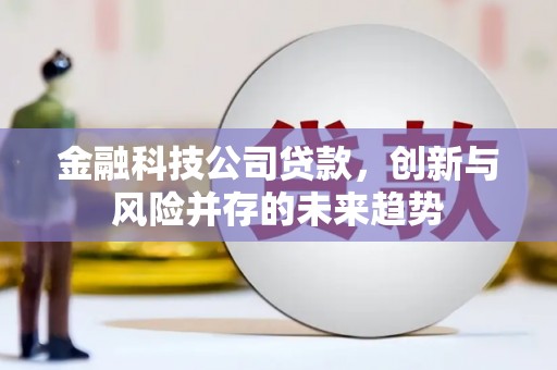 贡山金融科技公司贷款，创新与风险并存的未来趋势