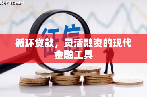 贡山循环贷款，灵活融资的现代金融工具