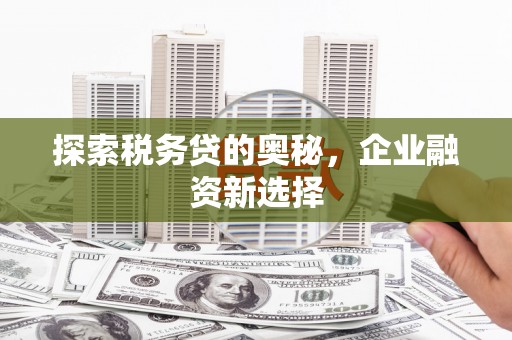 贡山探索税务贷的奥秘，企业融资新选择
