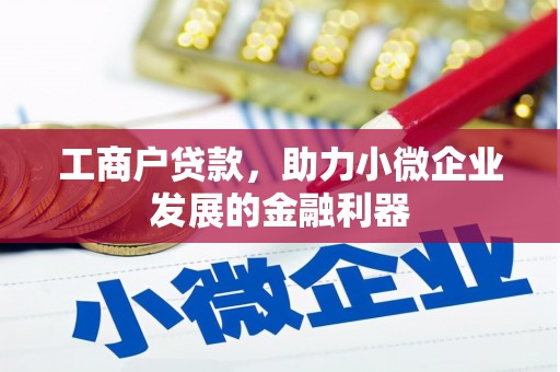 贡山工商户贷款，助力小微企业发展的金融利器