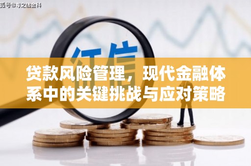 贡山贷款风险管理，现代金融体系中的关键挑战与应对策略