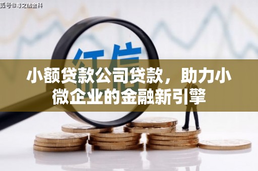 贡山小额贷款公司贷款，助力小微企业的金融新引擎