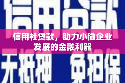 贡山信用社贷款，助力小微企业发展的金融利器