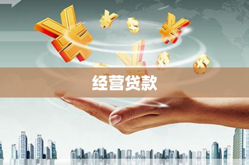 贡山经营贷款