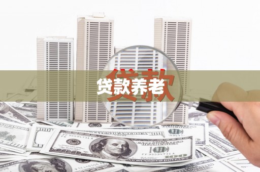 贡山贷款养老