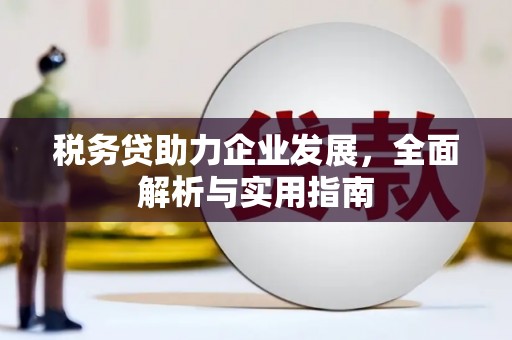贡山税务贷助力企业发展，全面解析与实用指南