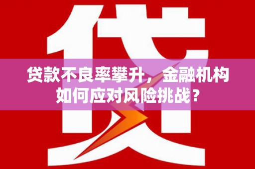 贡山贷款不良率攀升，金融机构如何应对风险挑战？