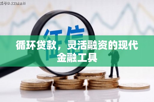 贡山循环贷款，灵活融资的现代金融工具