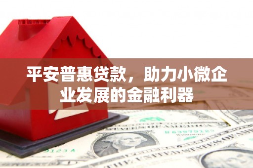 贡山平安普惠贷款，助力小微企业发展的金融利器