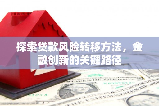 贡山探索贷款风险转移方法，金融创新的关键路径