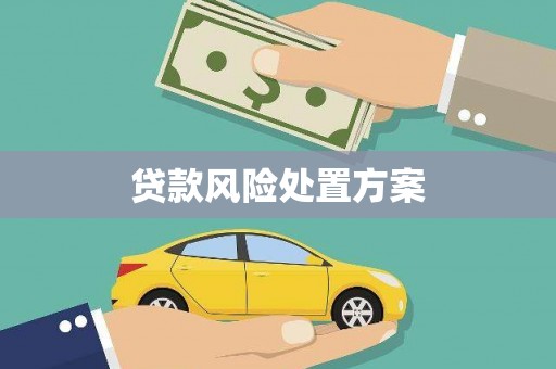 贡山贷款风险处置方案