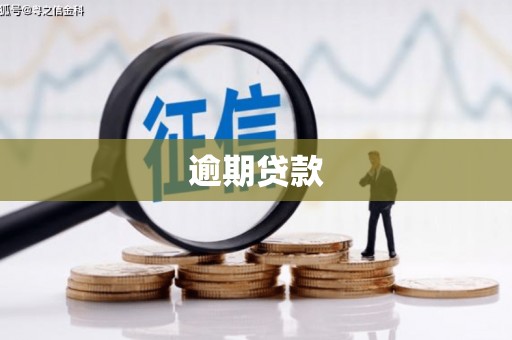贡山逾期贷款
